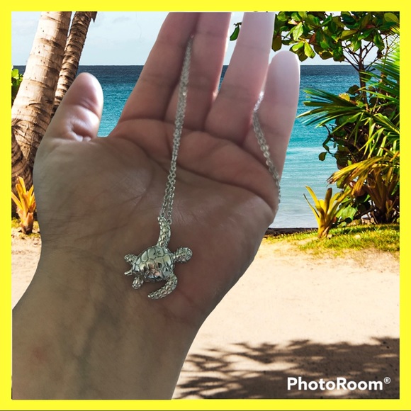 Lulixx Silver Turtle Necklace - Picture 2 of 11